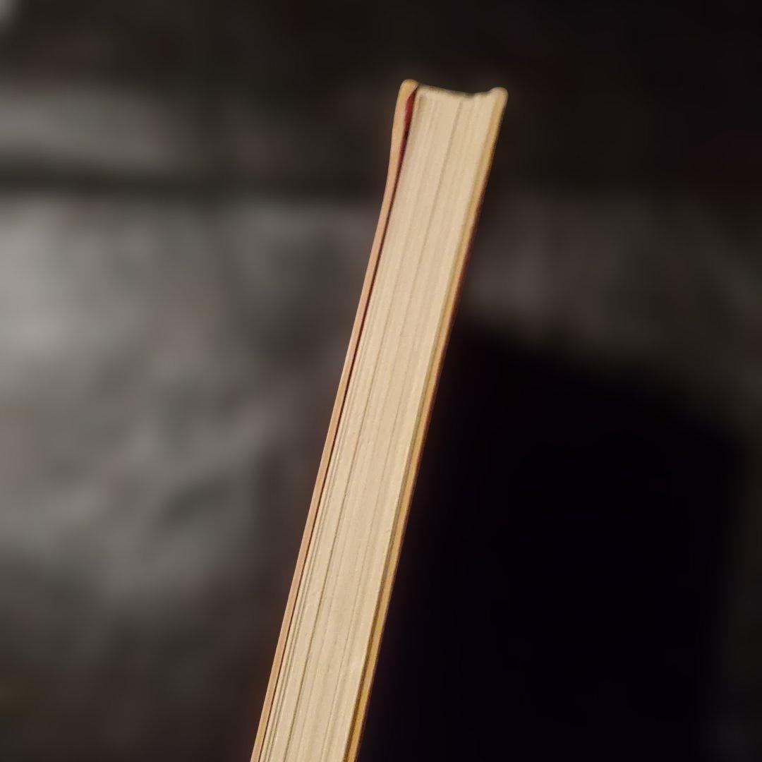 【希少】DSQUARED2 2007AW ルックブック 非売品 カタログ