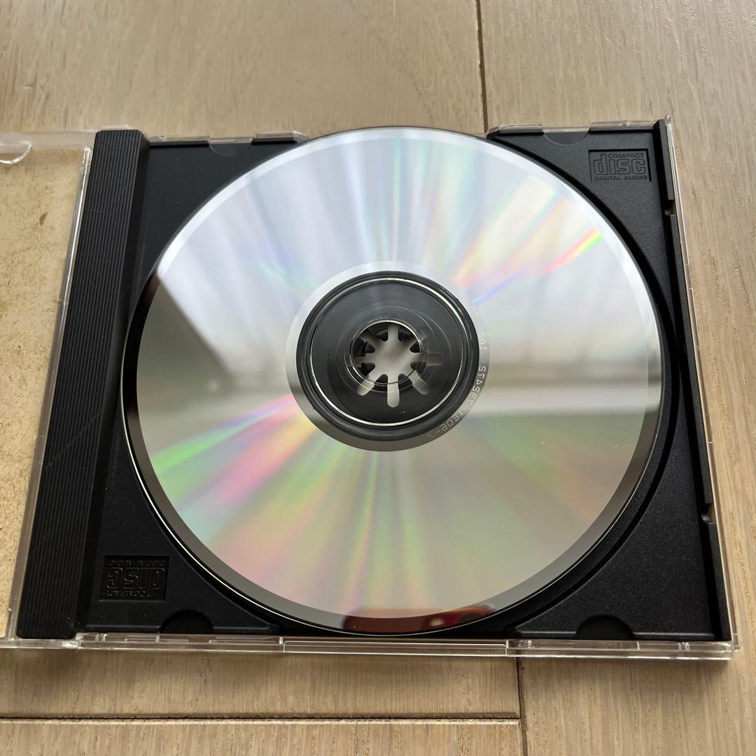 SALLY YEH 葉倩文 サリー・イップ　秋去秋來 美品