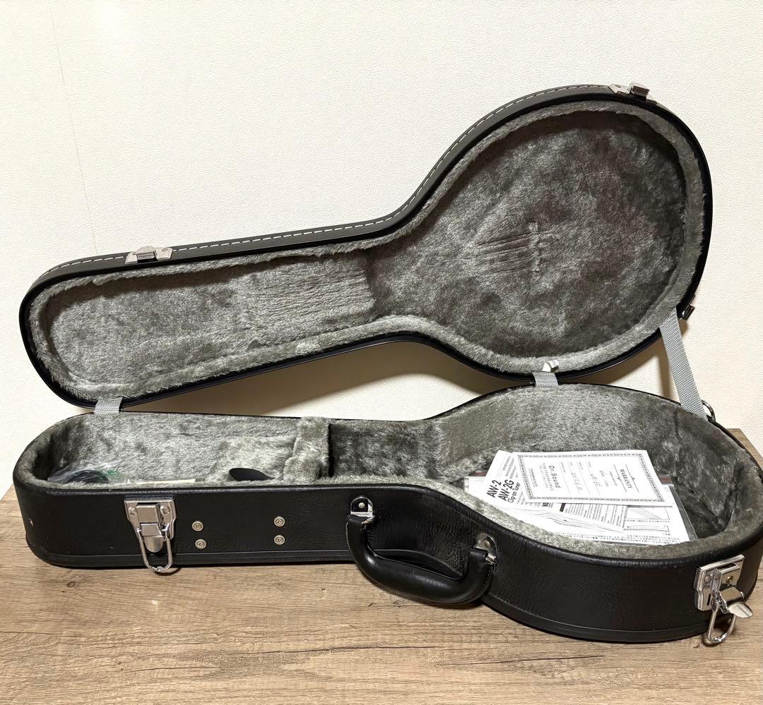 toky様用　【美品】エレキ　マンドリン