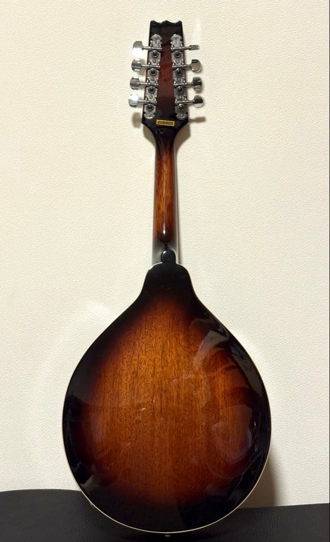 toky様用　【美品】エレキ　マンドリン