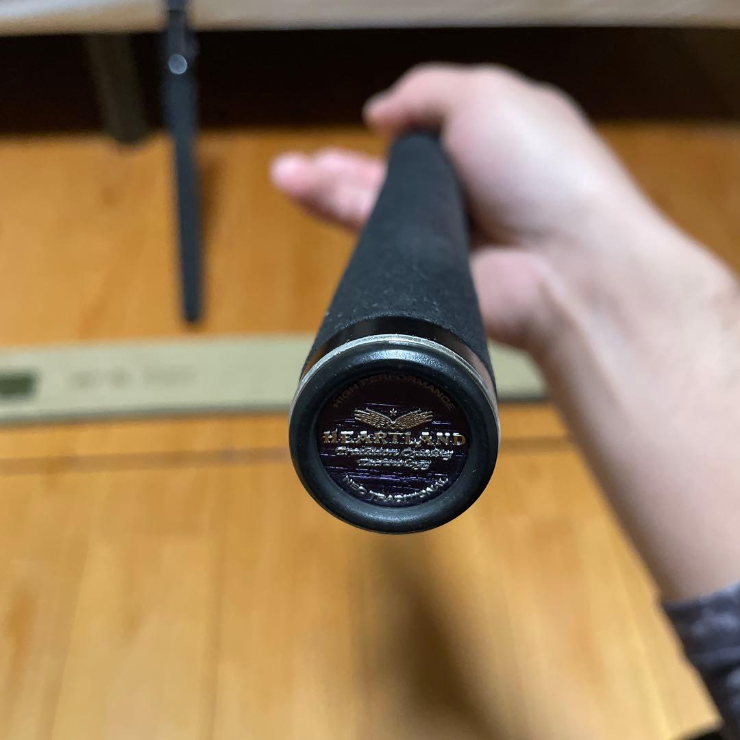 ハートランドZ 柳龍ベイト