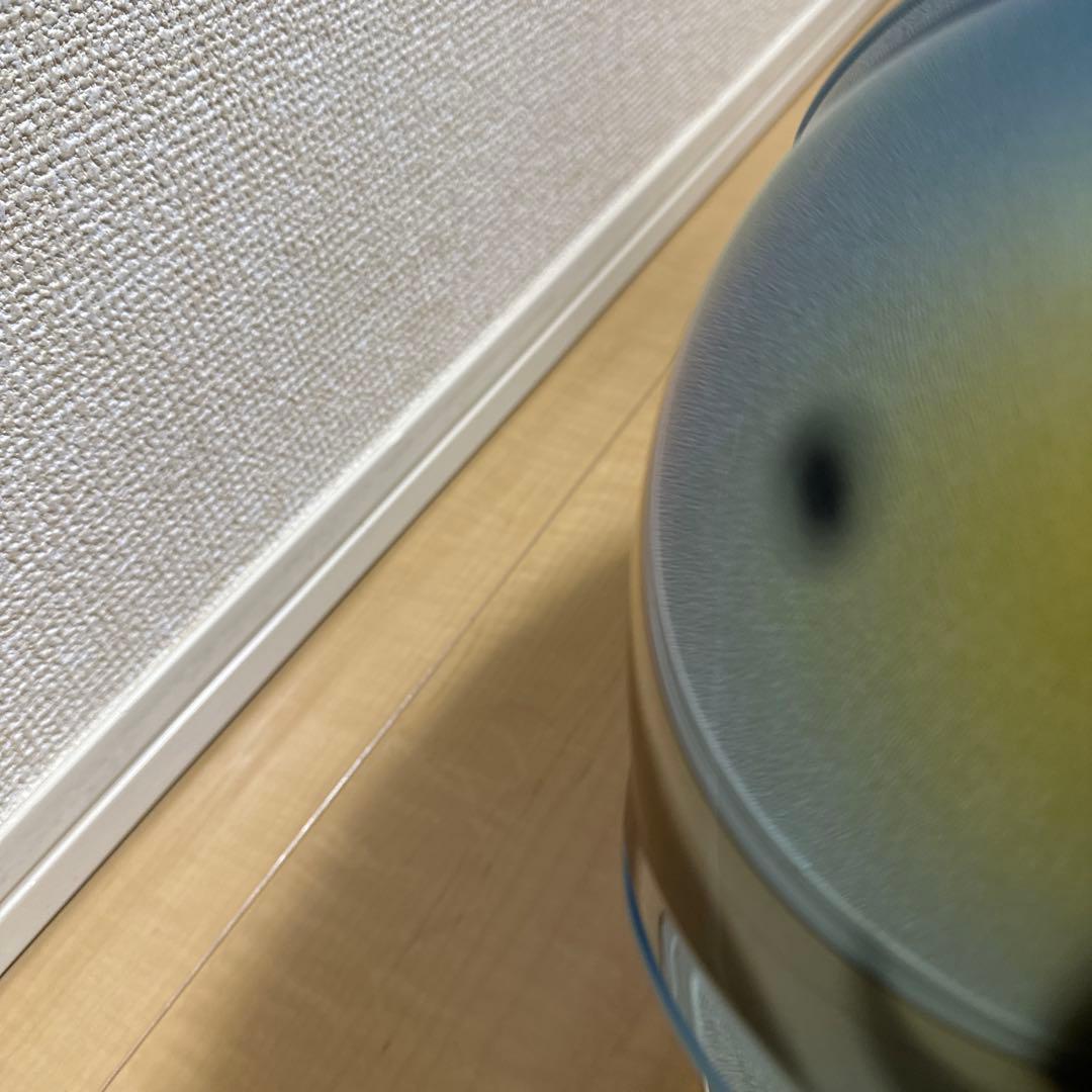 BELL BULLITT GLOSS BLACK バブルシールド付属