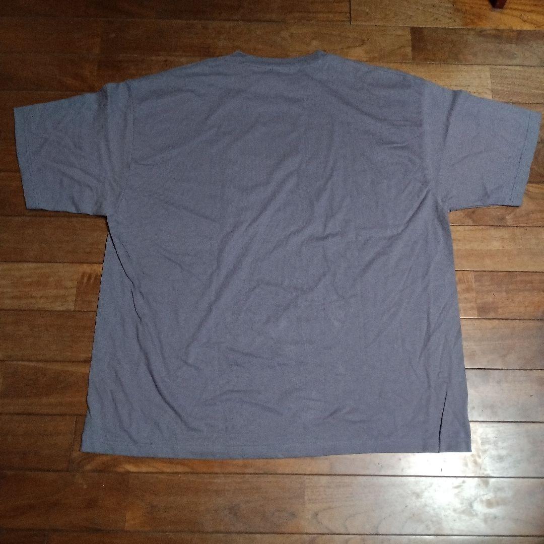 BeneficialT'sパタゴニアオーガニックコットンアメリカ製Tシャツ