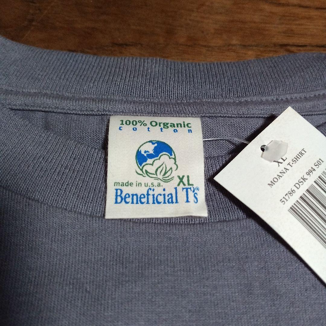 BeneficialT'sパタゴニアオーガニックコットンアメリカ製Tシャツ