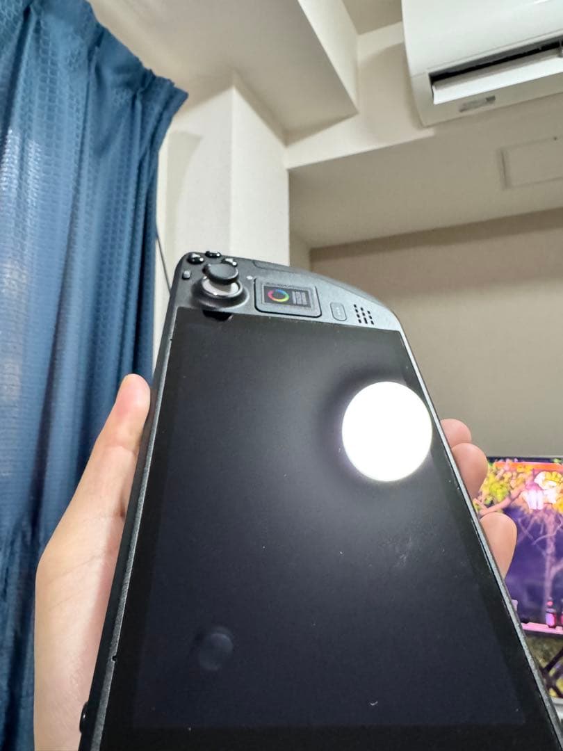 Steam Deck 256gb スチームデック LCD　専用ケース付き