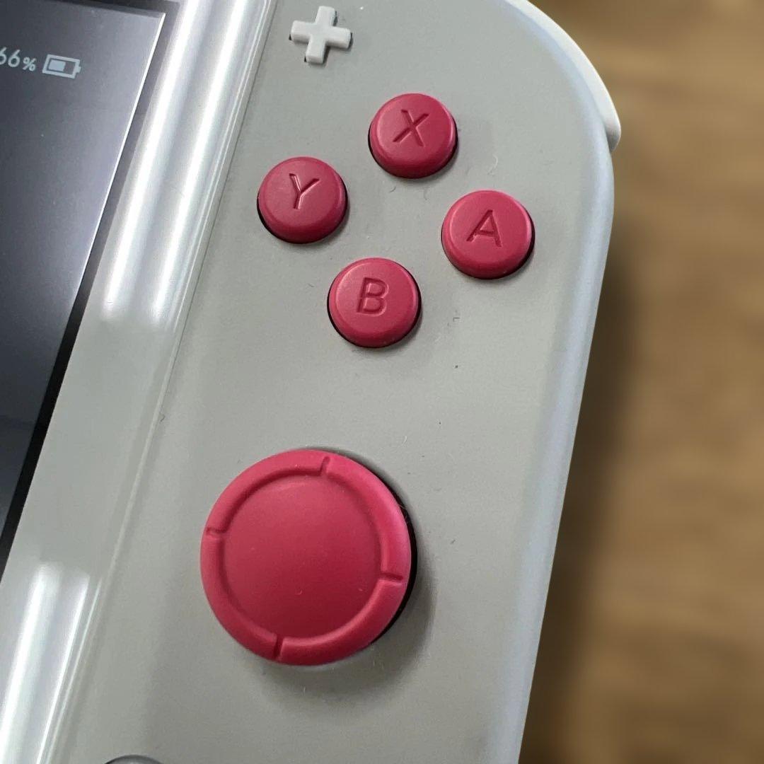 427 Nintendo Switch Lite ザシアンザマゼンタ　ケース付き