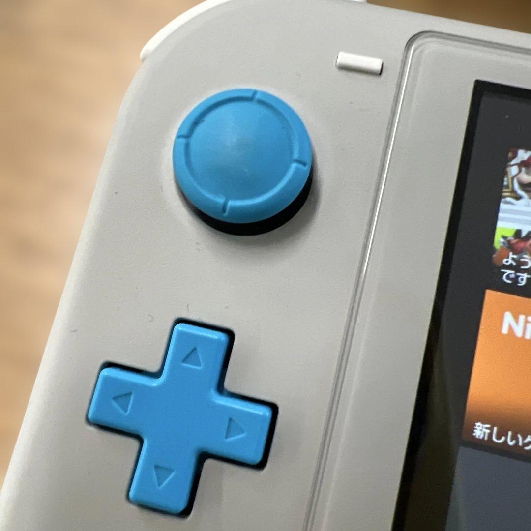 427 Nintendo Switch Lite ザシアンザマゼンタ　ケース付き