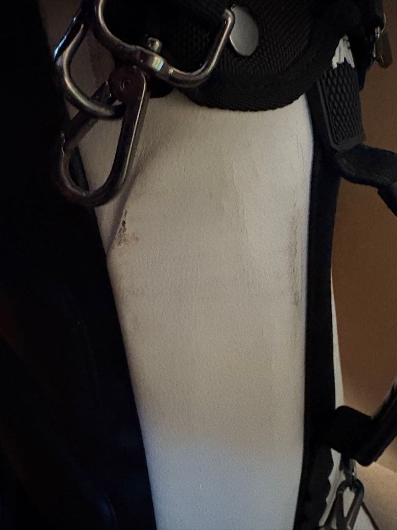 PXG キャディバッグ 白黒 バッグのみ