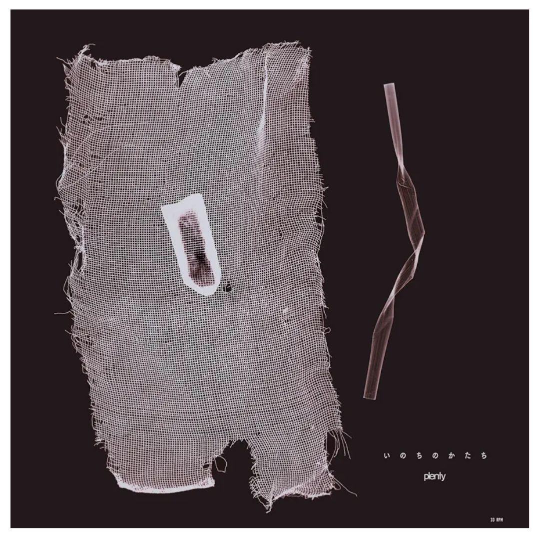 plenty いのちのかたち レコード アナログ盤　江沼郁弥　新品未使用　未開封
