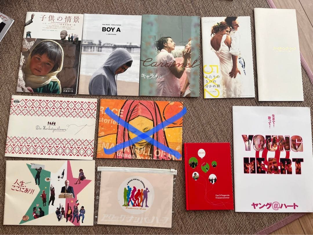 ミニシアター系映画　パンフレット　好きなのを。　洋画　映画