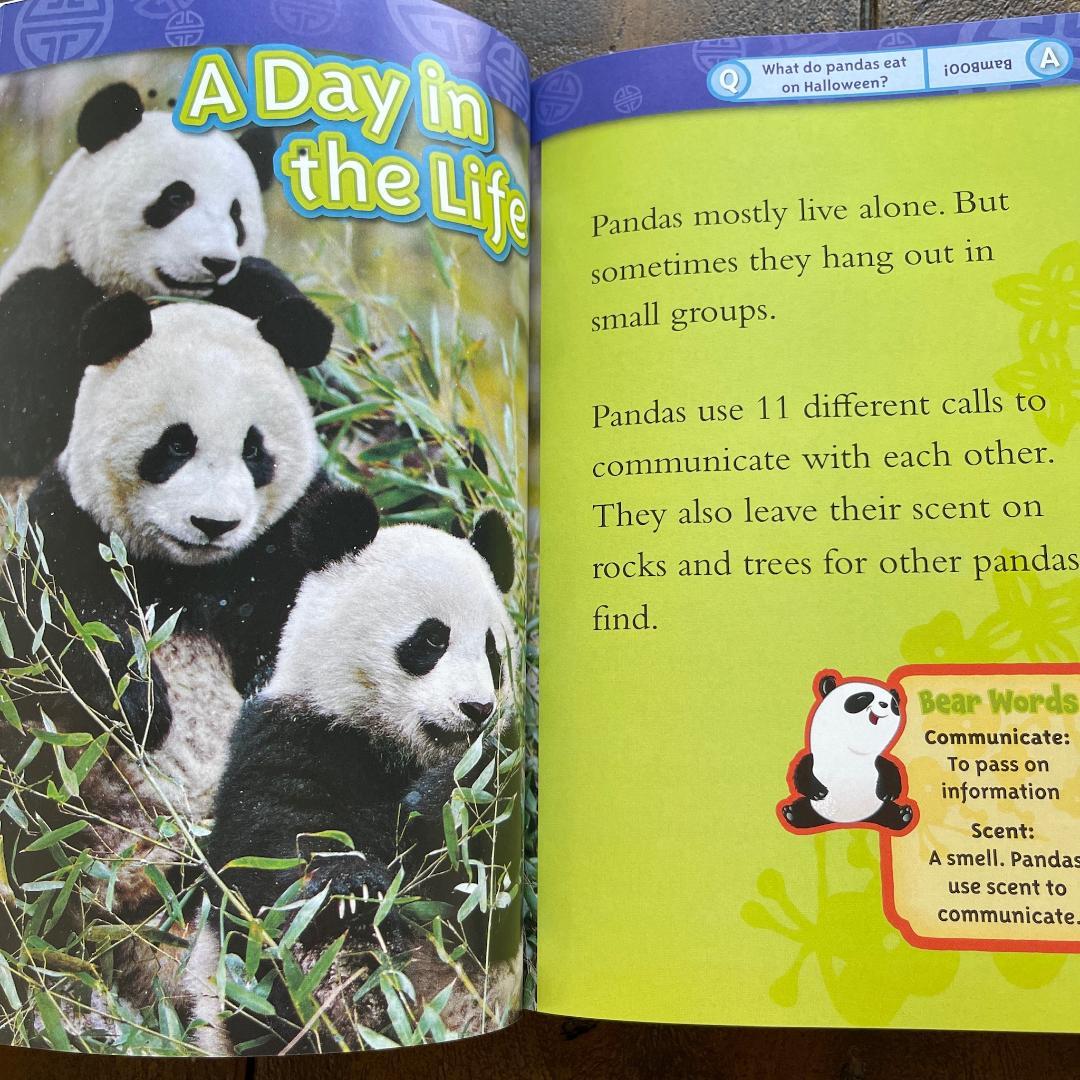 National Geographic Kids 全155冊セット 英語絵本