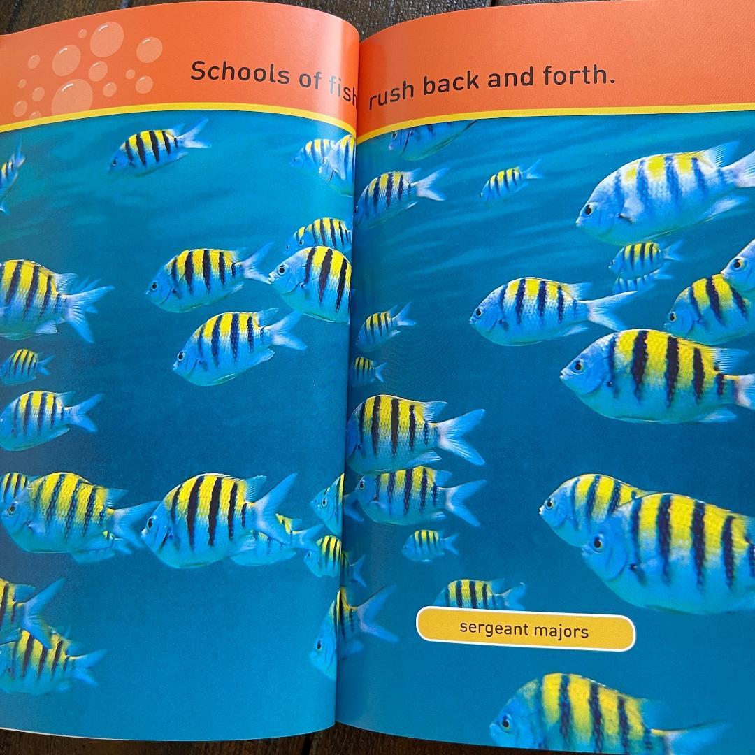 National Geographic Kids 全155冊セット 英語絵本