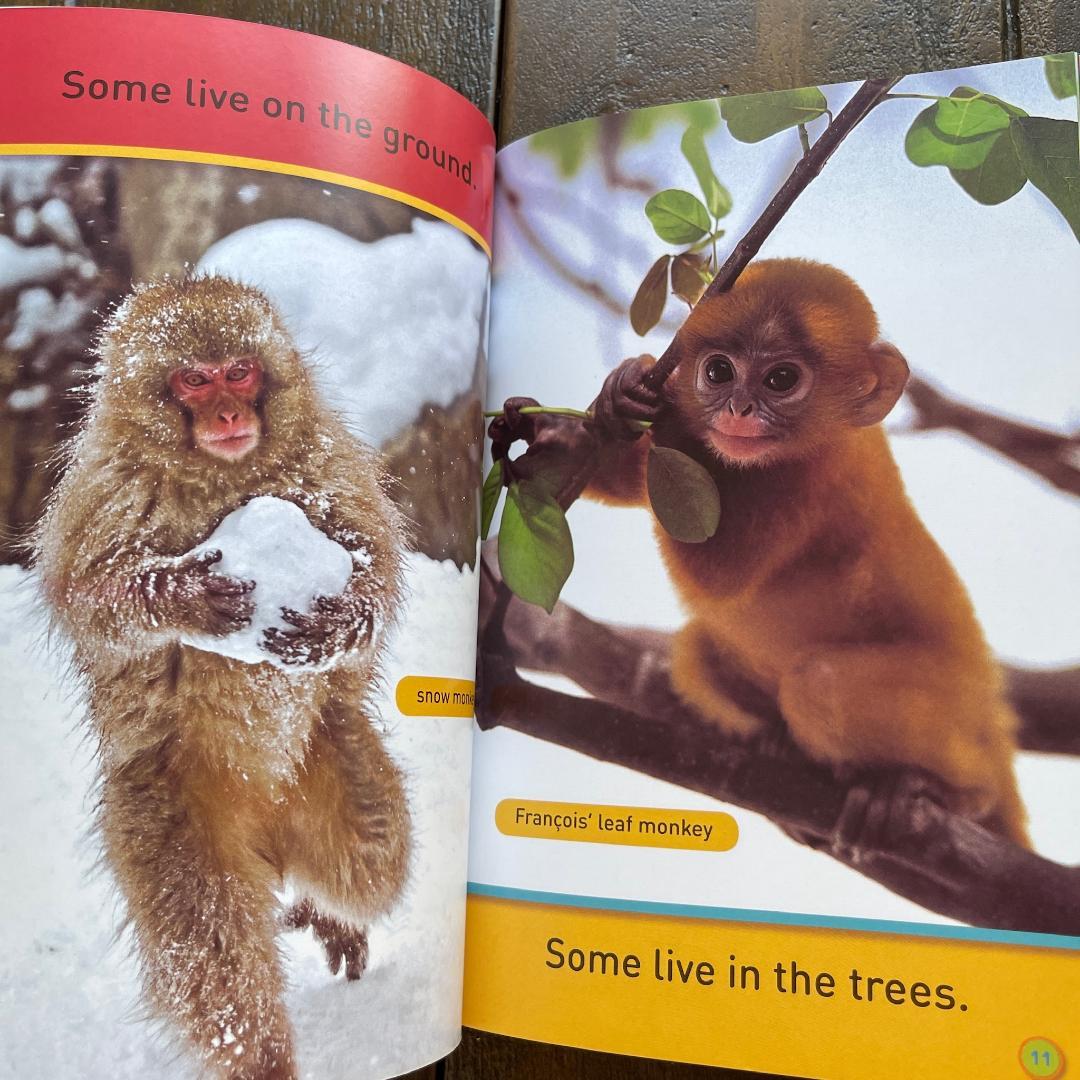 National Geographic Kids 全155冊セット 英語絵本