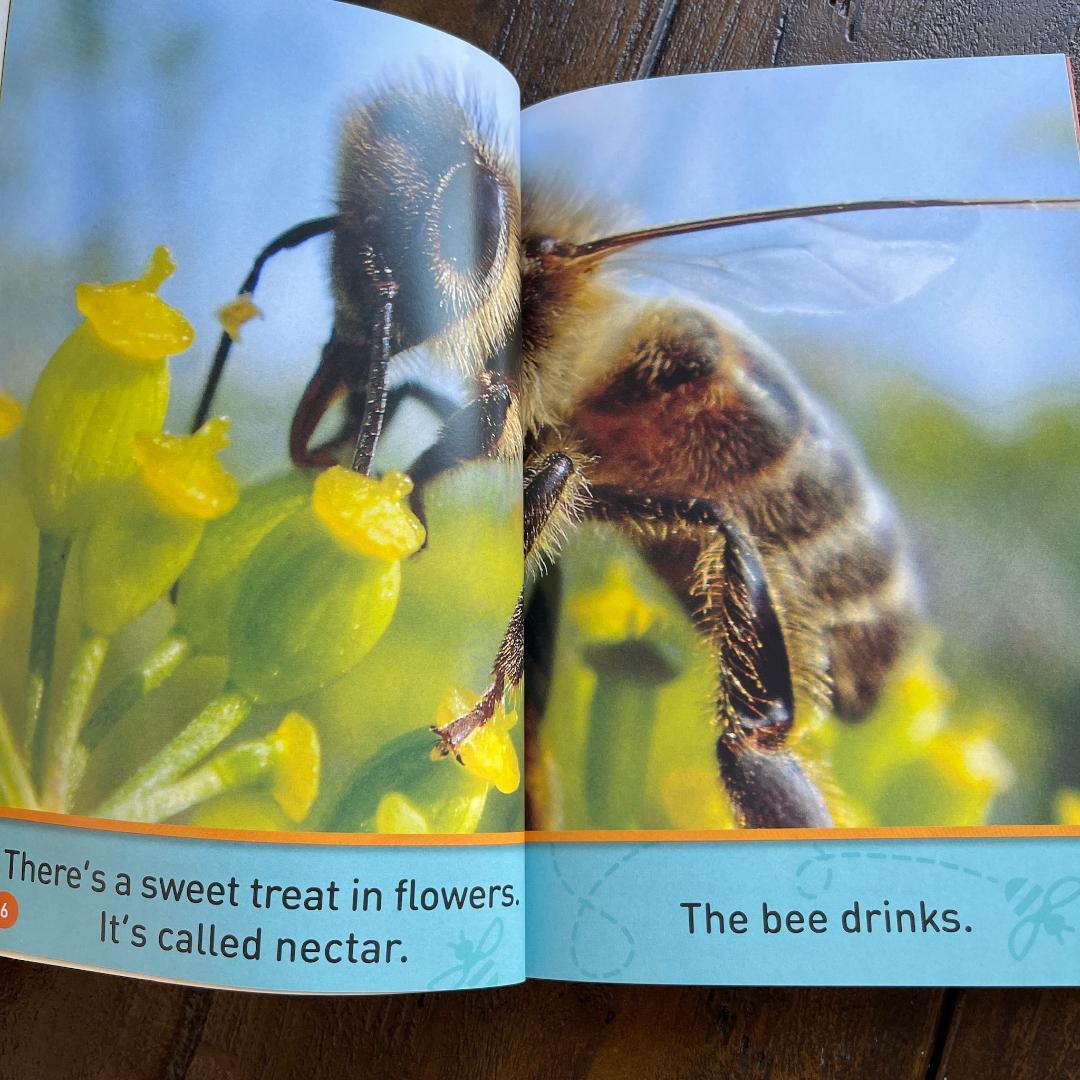 National Geographic Kids 全155冊セット 英語絵本