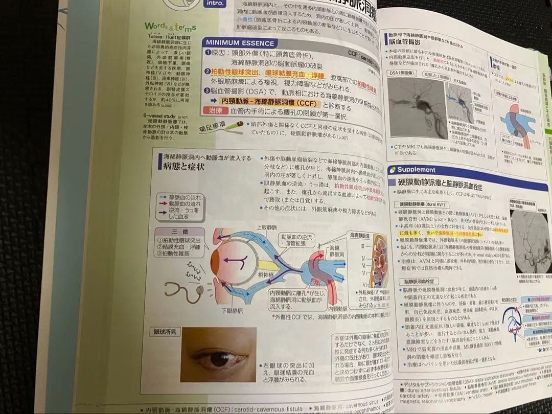 h*o様 病気がみえる 薬がみえる イヤーノート セット