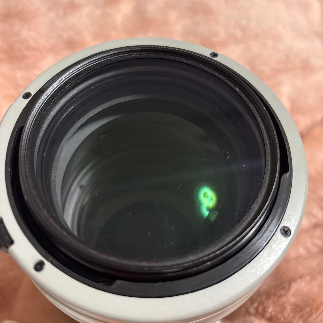 Canon ズームレンズ EF70-200mm F2.8L IS || USM