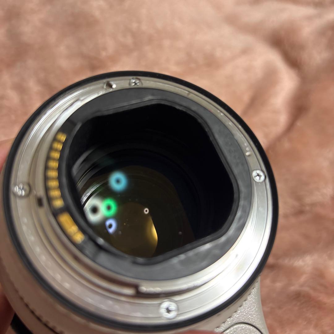 Canon ズームレンズ EF70-200mm F2.8L IS || USM