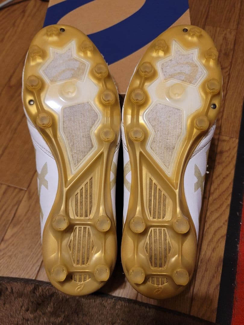 マ*ト様 ASICS DS LIGHT X-FLY PRO 27cm　美品