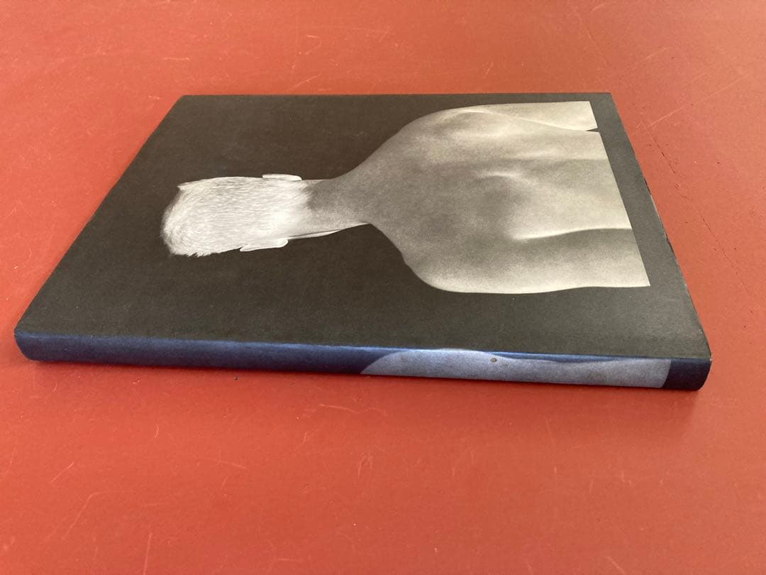 ブルース　ウェーバー　写真集