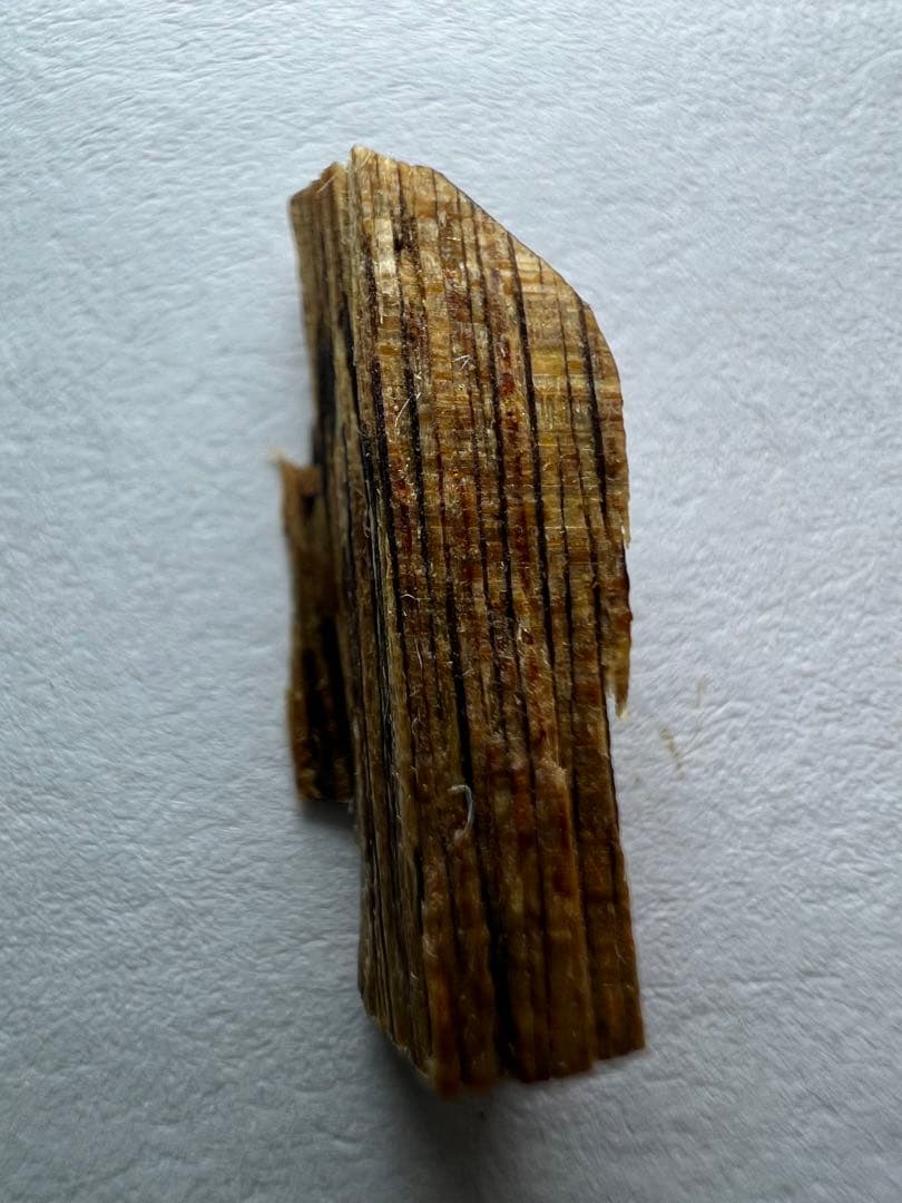 古渡命銘木 貳百種種名香　伽羅　銘【山川】0.254g 香木/沈香/伽羅