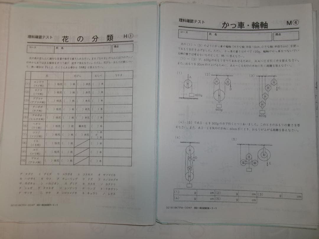 サピックス＊６年＊理科（生物地学物理化学）＊ 理科確認テスト／全９５回以上＊貴重