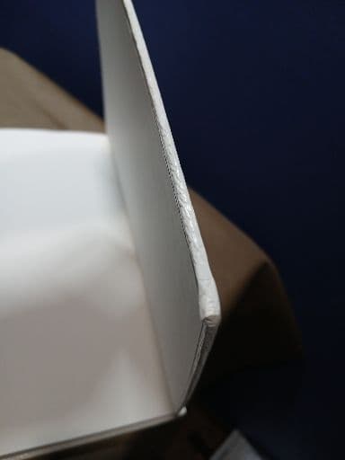 【写真集】川内倫子 ／ AILA