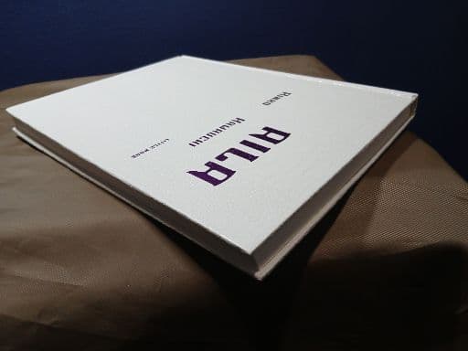 【写真集】川内倫子 ／ AILA