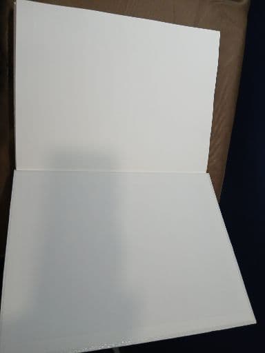 【写真集】川内倫子 ／ AILA