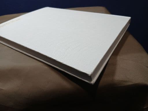 【写真集】川内倫子 ／ AILA