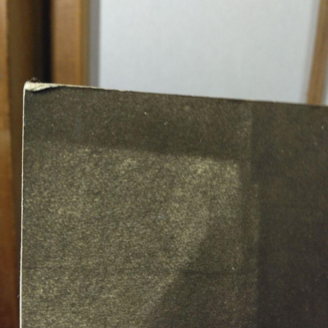 Architectural Visions　ペーパーバック版