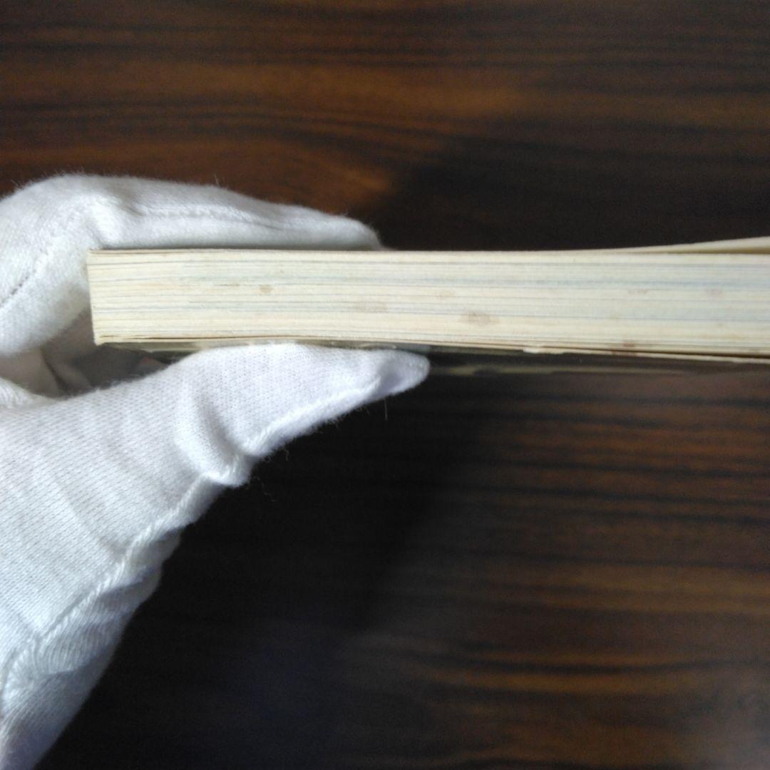 Architectural Visions　ペーパーバック版