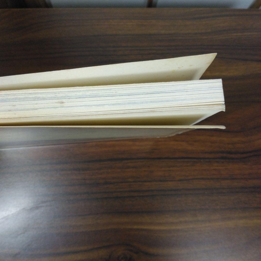 Architectural Visions　ペーパーバック版