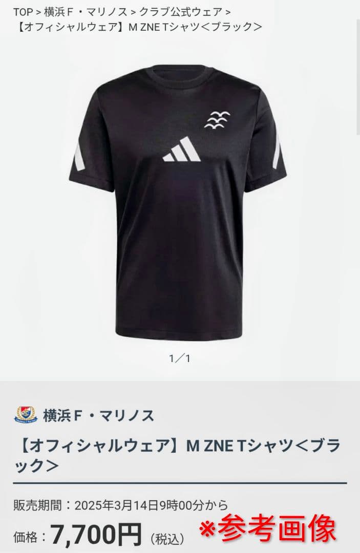 【入手困難/非売品】永戸勝也選手 実使用 横浜F・マリノス 支給 移動着