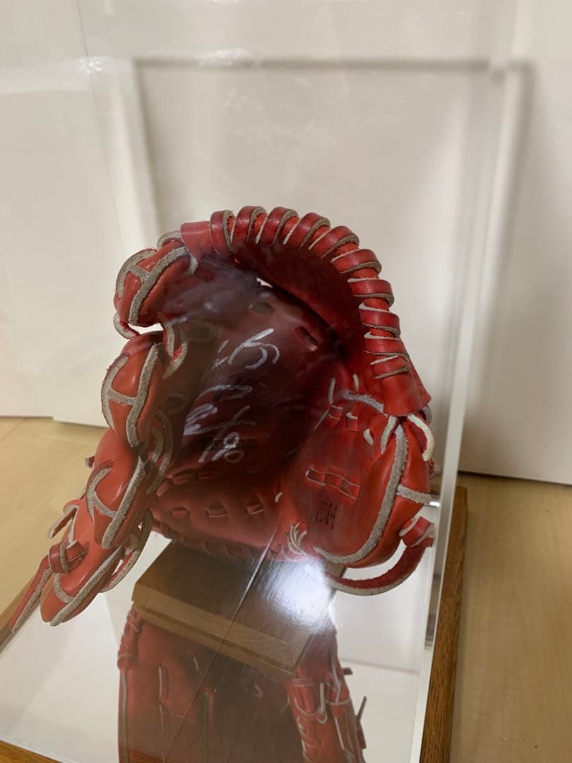 ヤクルトスワローズ 読売ジャイアンツ 田口麗斗 直筆サイン入りグローブ ケース付