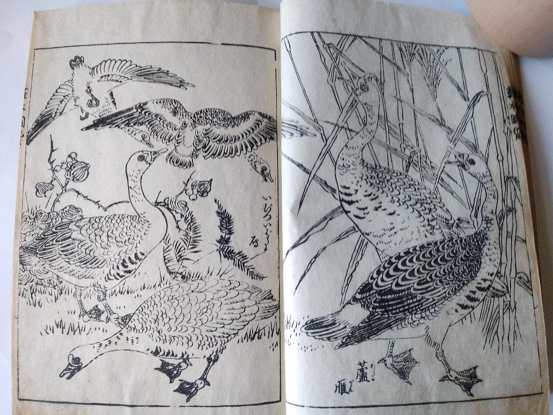 『 諸図備考 画本図貨 上下』諸圖備考 画本圖貨 中路定年 画 明治27年 求版