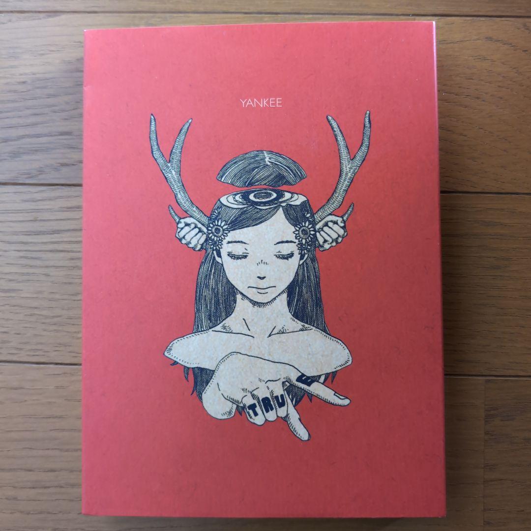 YANKEE　米津玄師　画集盤　初回限定　アニメイト特典クリアファイル付き