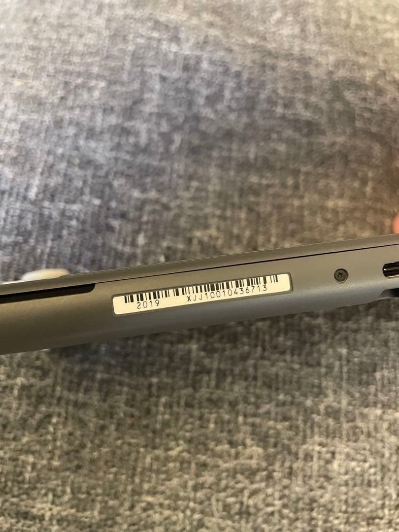 switchライト 本体のみ グレーとあつ森ケース