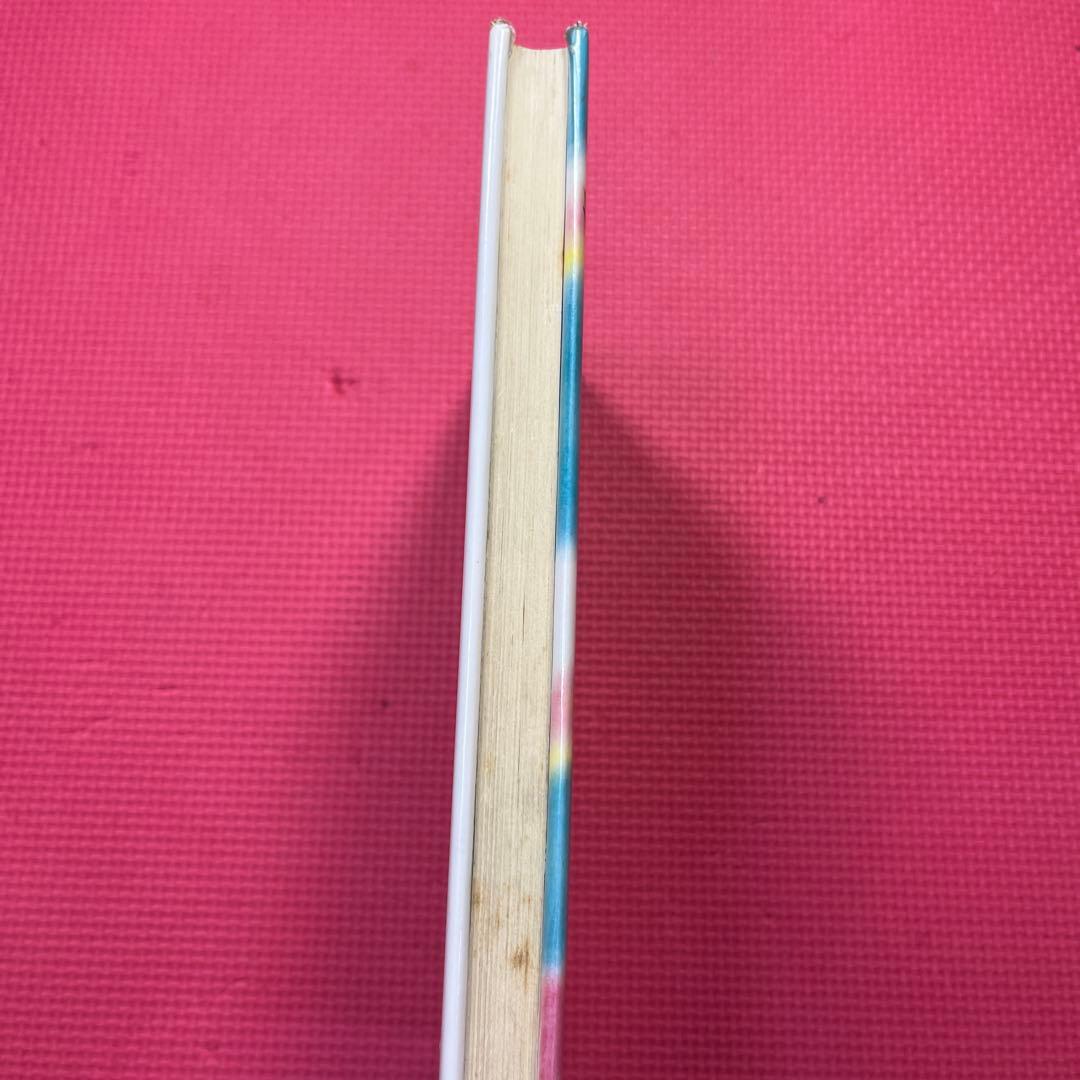 【絶版希少】ちびっこ吸血鬼のクリスマスはどきどき気分