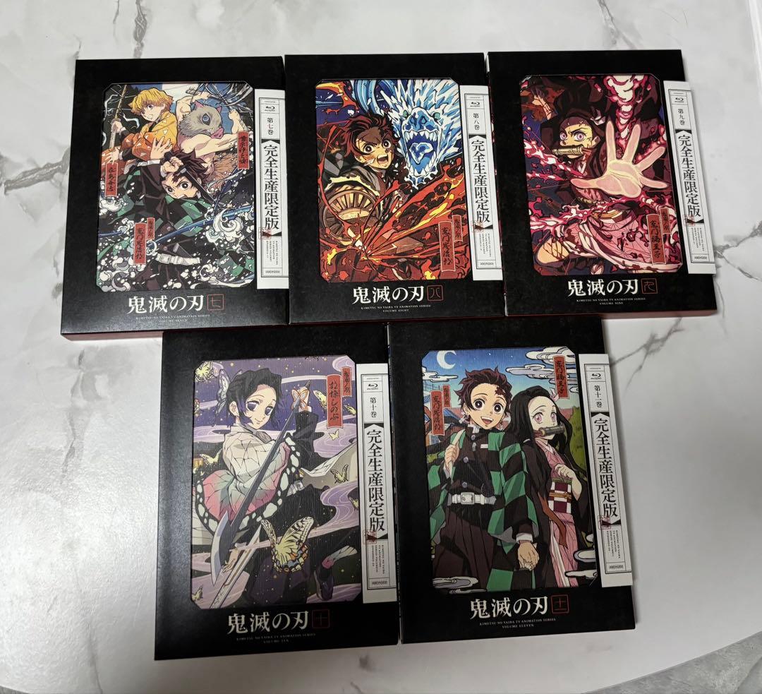 鬼滅の刃 DVD 立志編 完全生産限定版 全11巻 全巻収納BOX付