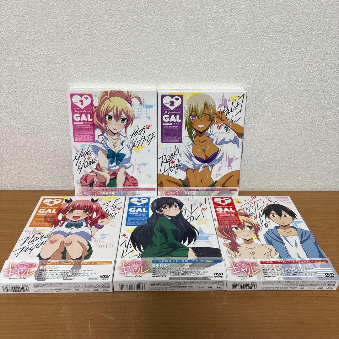 はじめてのギャル DVD 全5巻セット