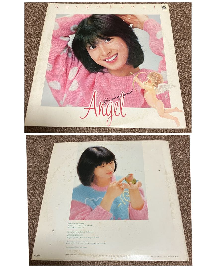 河合奈保子　レコード　プロマイド　パンフレット　写真集　DVD 缶ペンなど