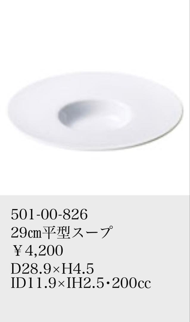 KANESUZU製ワイドリム皿29cm5枚セット12/16迄SALE価格