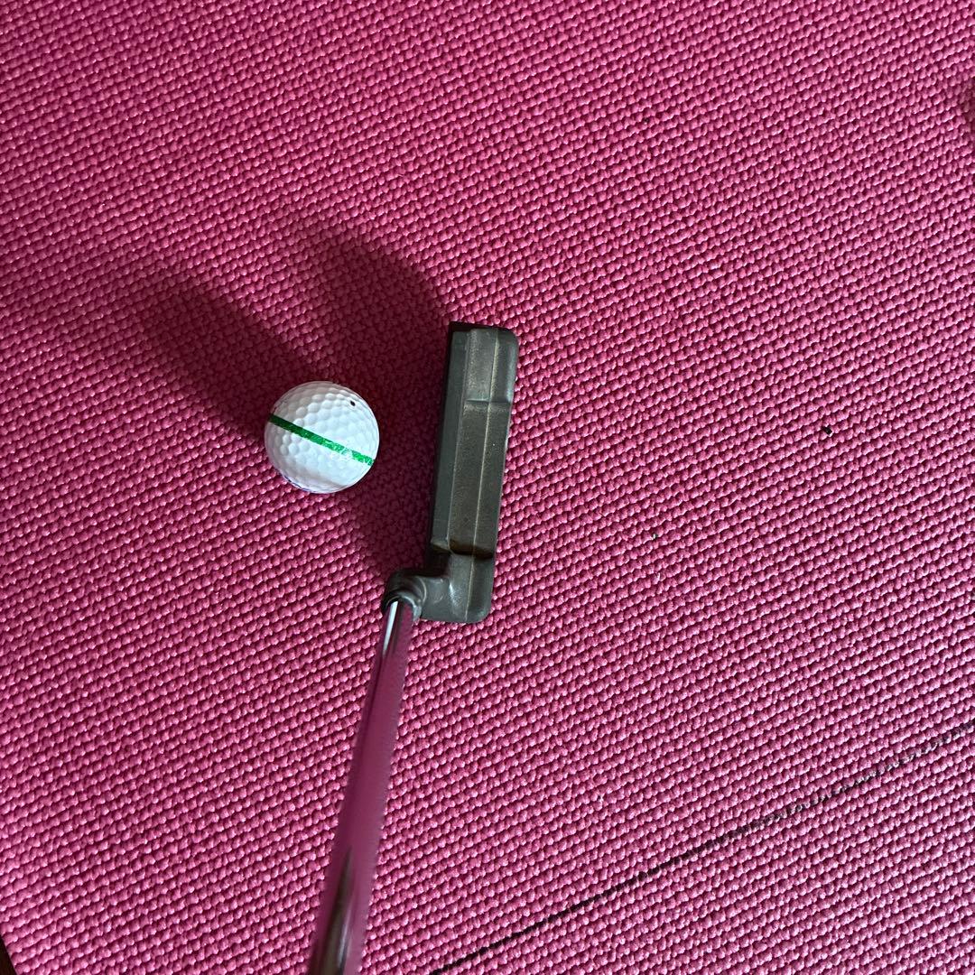 PING ANSER パター