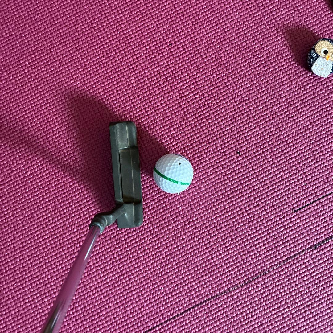 PING ANSER パター