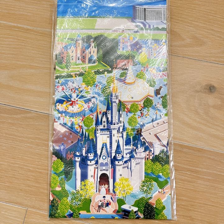 Disney スーベニアマップ