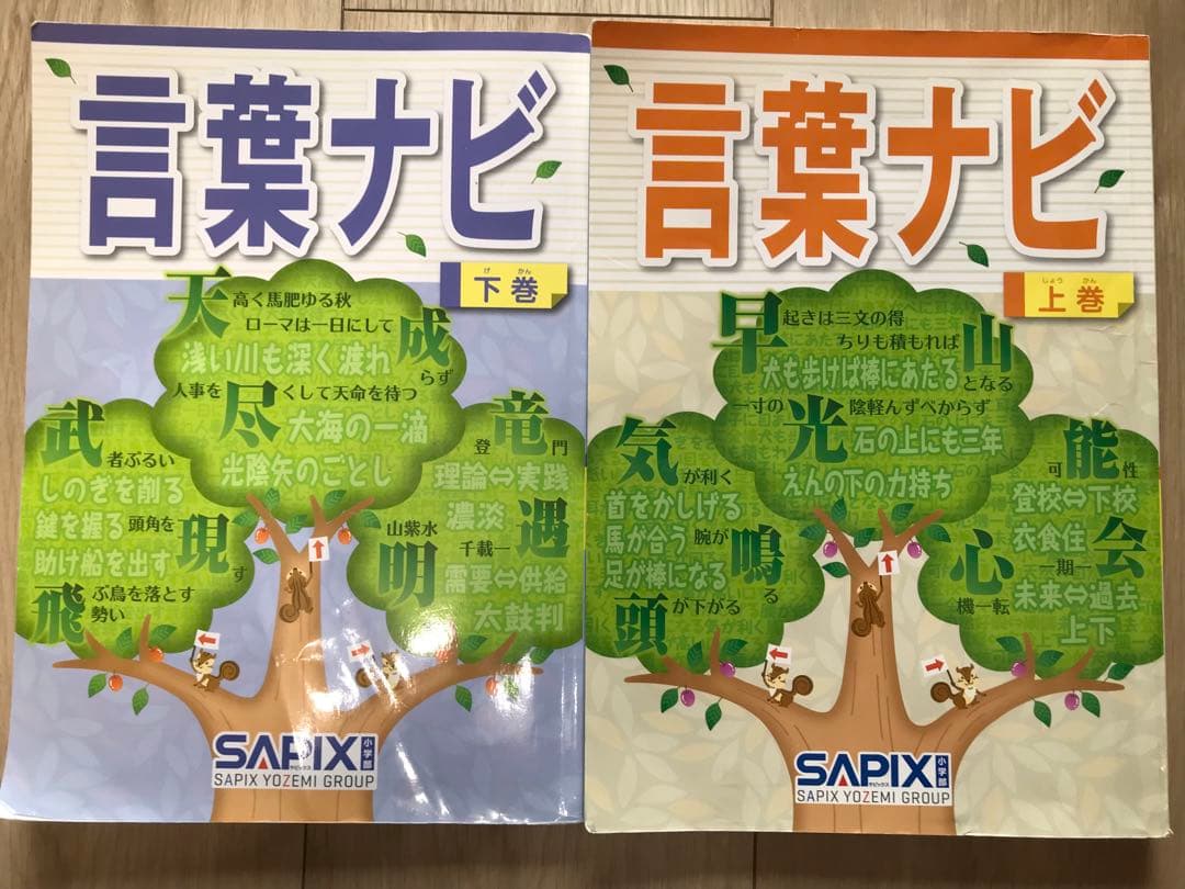 サピックス　言葉ナビ　上下巻　SAPIX