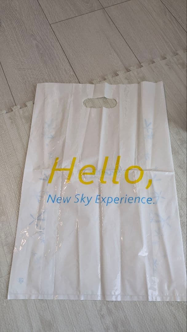 Vanilla Air バニラエア1/150 航空機モデル 2機セット販売終了品