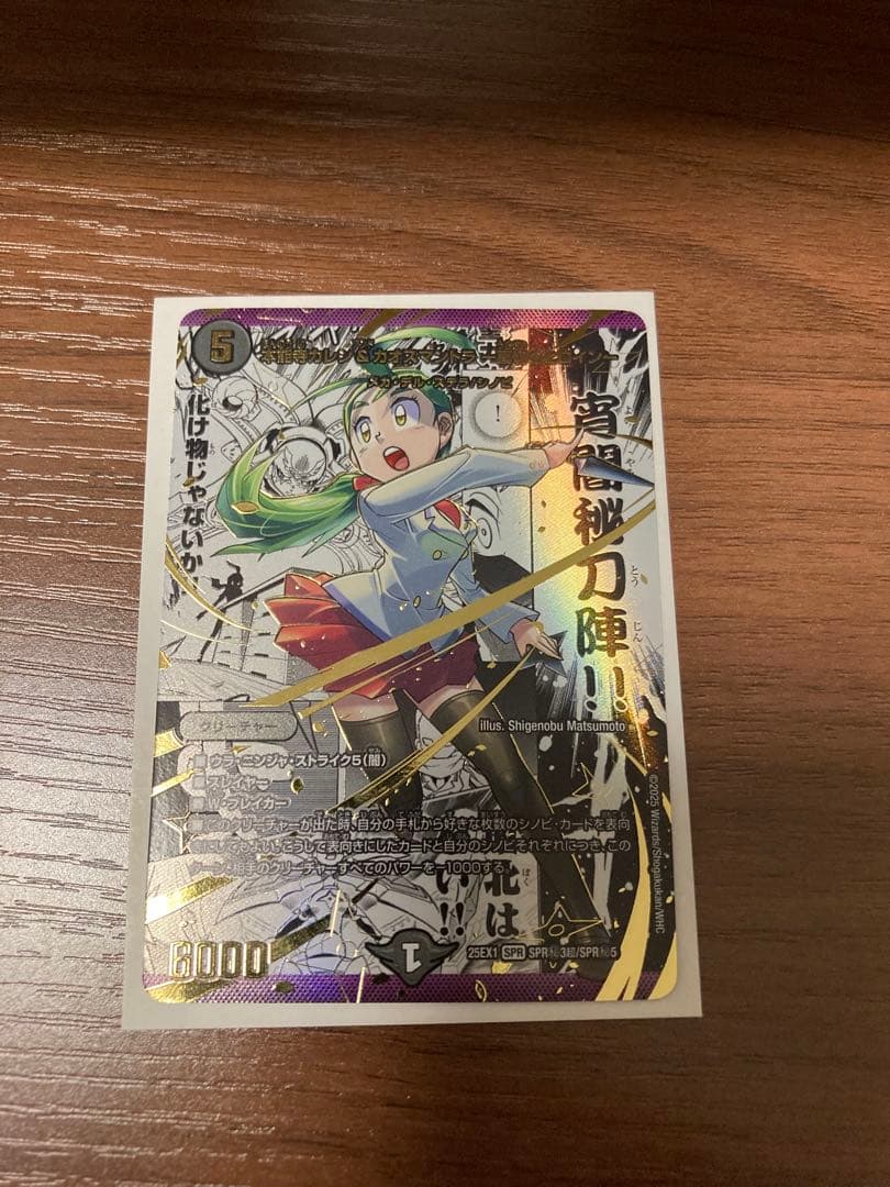 本能寺カレン&カオスマントラー裏切りのヒロインー シークレット シク コミパラ