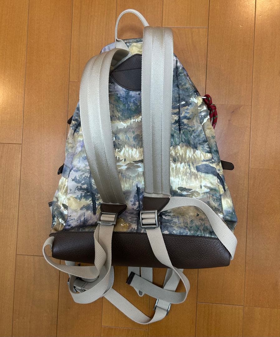 GUCCI × THE NORTH FACE コラボ バックパック 正規品 美品