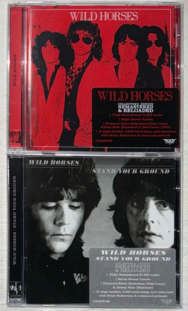 リマスター盤！WILD HORSES & STAND YOUR GROUND